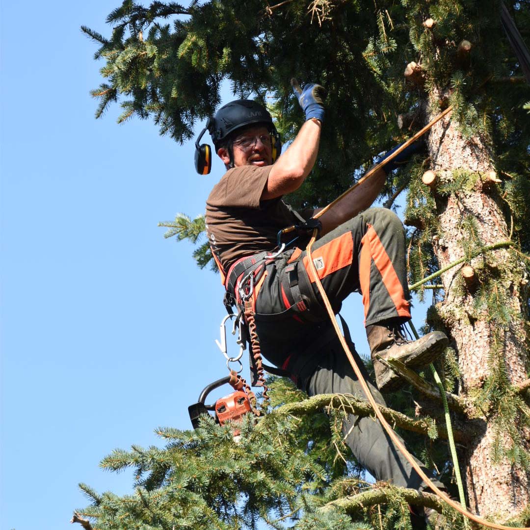 Rene Kotoun auf einem Baum